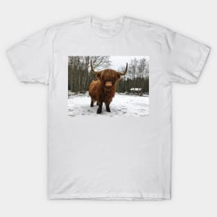 Scottish Highland Cattle Cow 2249 T-Shirt